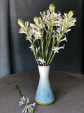 Bec Vase- Pale Blue and Yellow